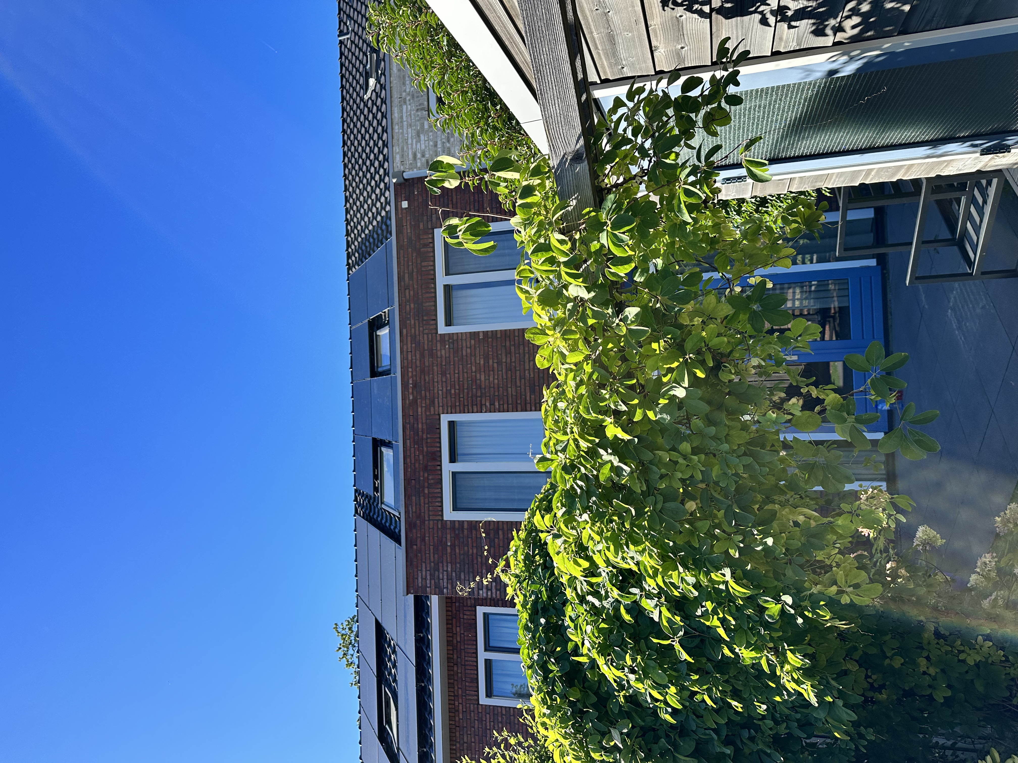 Een installatie van zonnepanelen op een schuin dak, met een helderblauwe lucht op de achtergrond.