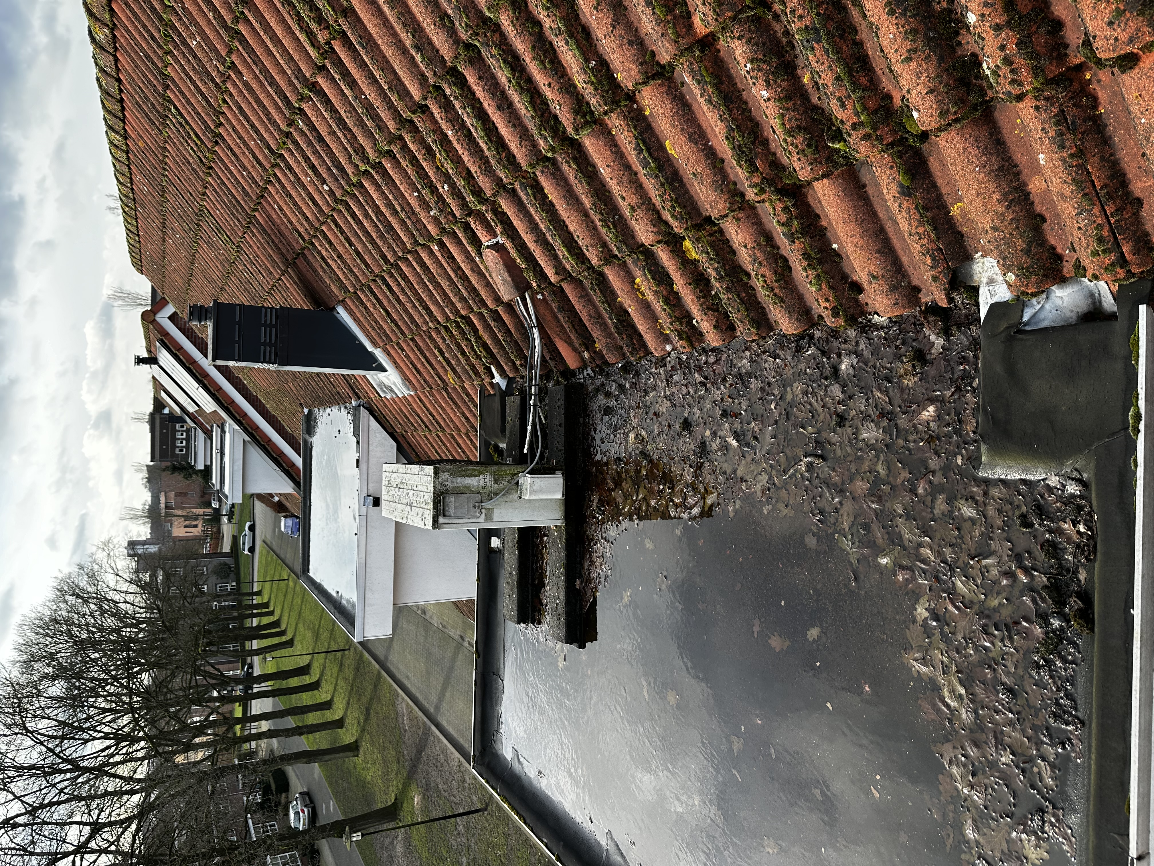 De foto toont zonnepanelen op een schuin dak, omgeven door bladeren en water. De installatie lijkt verstoord door vuil en vegetatie.